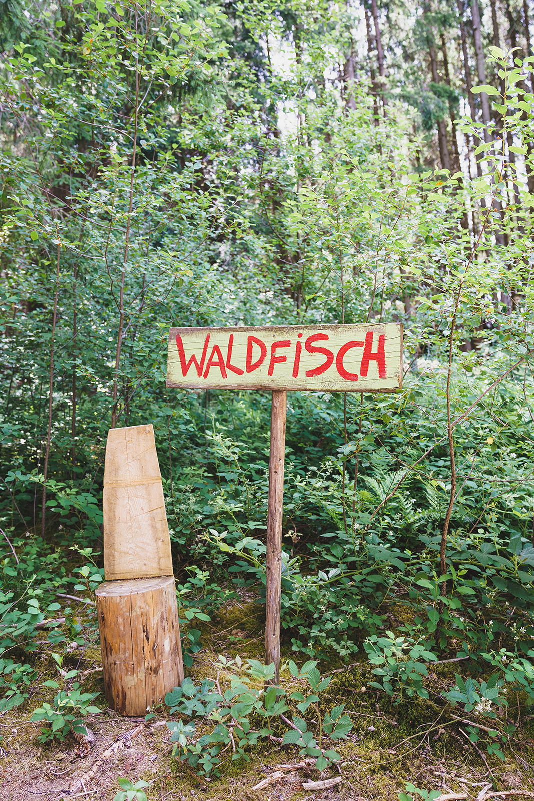 Nahaufnahme von Schnitzwerkzeug im Wald