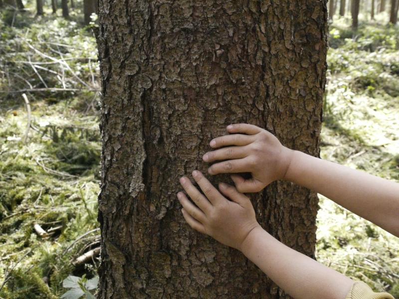 Leitbild Waldfisch - Kinder die glücklich im Wald spielen