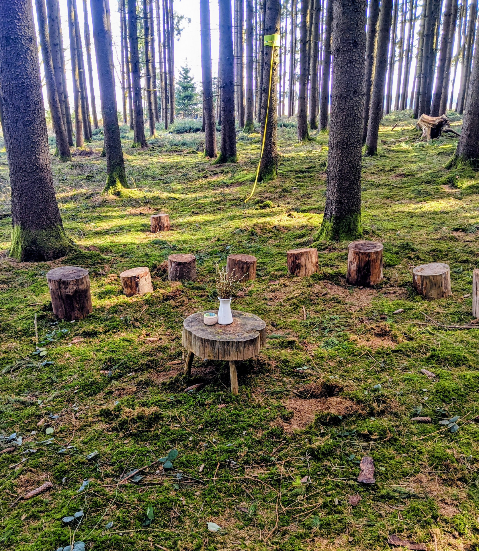 Kinder sitzen zusammen im Wald auf Baumstümpfen